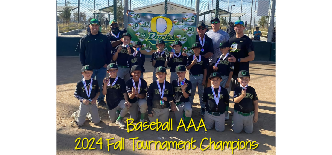 Congratulations to our Baseball AAA Champions!